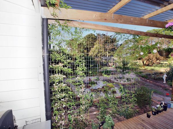 https://lemis.nyc3.digitaloceanspaces.com/grog/Photos/20091114/small/verandah-a.jpeg
