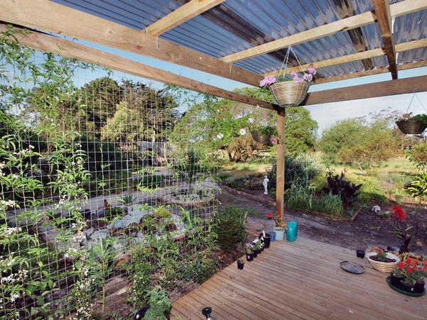 https://lemis.nyc3.digitaloceanspaces.com/grog/Photos/20091114/small/verandah-b.jpeg