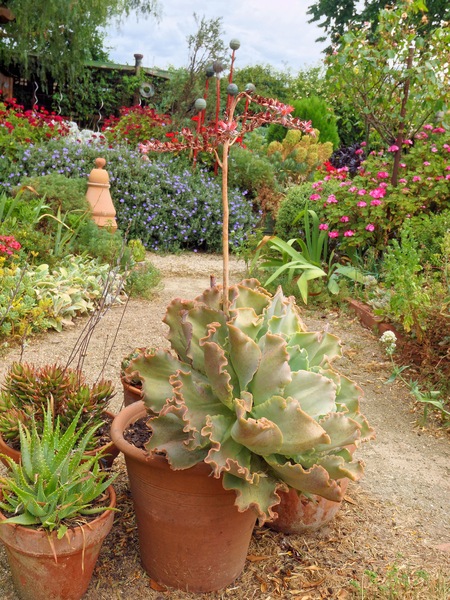 https://lemis.nyc3.digitaloceanspaces.com/grog/Photos/20091120/small/Garden-1-1.jpeg