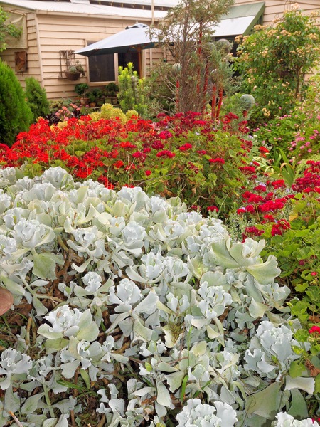 https://lemis.nyc3.digitaloceanspaces.com/grog/Photos/20091120/small/Garden-1-2.jpeg