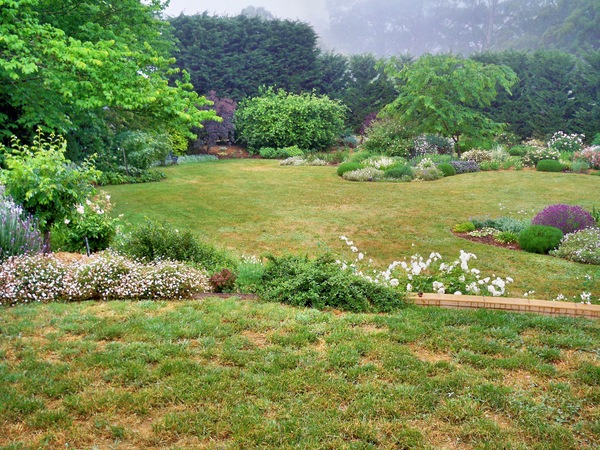 https://lemis.nyc3.digitaloceanspaces.com/grog/Photos/20091121/small/Anembinya-2-2.jpeg