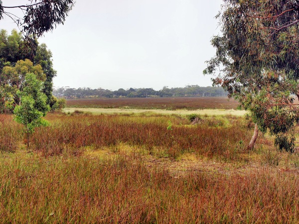 https://lemis.nyc3.digitaloceanspaces.com/grog/Photos/20091121/small/lagoon.jpeg