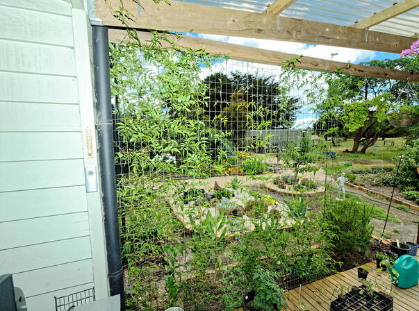 https://lemis.nyc3.digitaloceanspaces.com/grog/Photos/20091128/small/verandah-try-2.jpeg