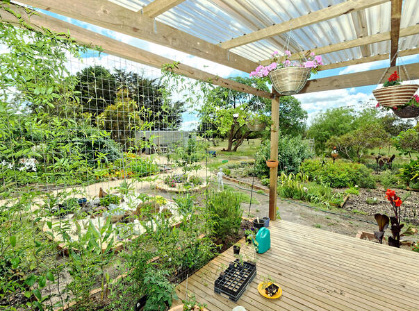 https://lemis.nyc3.digitaloceanspaces.com/grog/Photos/20091128/small/verandah-try-3.jpeg