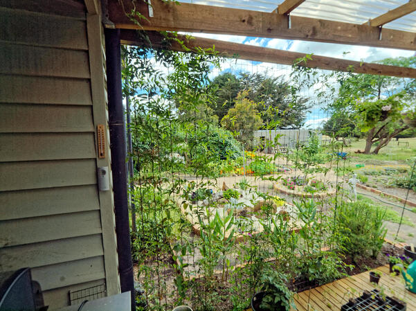 https://lemis.nyc3.digitaloceanspaces.com/grog/Photos/20091128/small/verandah-try-4.jpeg