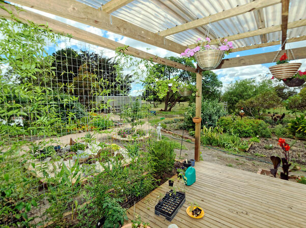 https://lemis.nyc3.digitaloceanspaces.com/grog/Photos/20091128/small/verandah-try-5.jpeg
