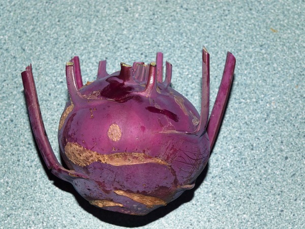 https://lemis.nyc3.digitaloceanspaces.com/grog/Photos/20100128/small/Kohlrabi.jpeg