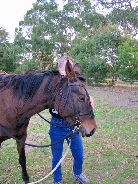 https://lemis.nyc3.digitaloceanspaces.com/grog/Photos/20100417/small/Horse-riding-16.jpeg