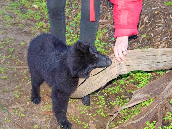 https://lemis.nyc3.digitaloceanspaces.com/grog/Photos/20100701/small/Walk-6.jpeg