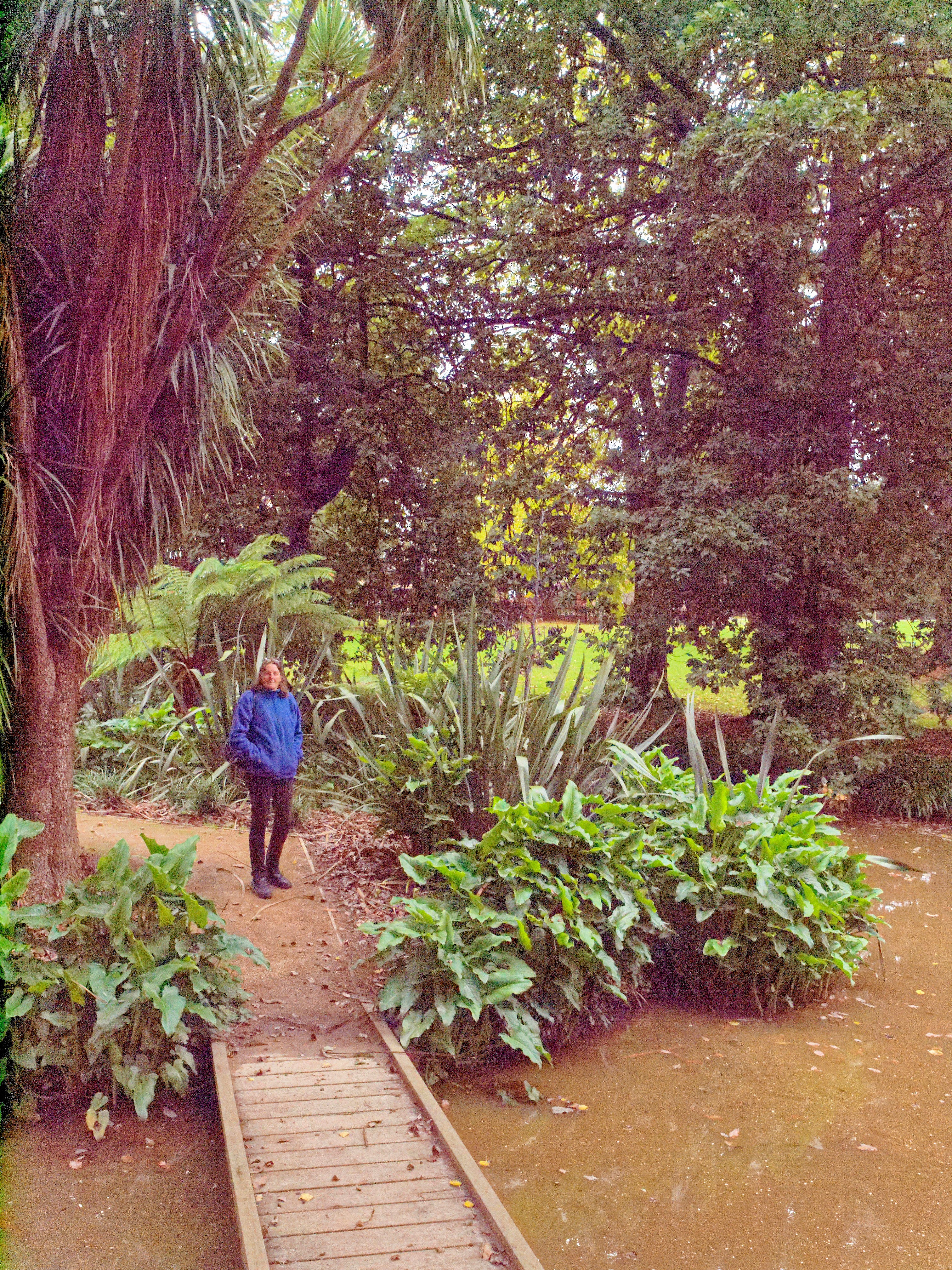 https://lemis.nyc3.digitaloceanspaces.com/grog/Photos/20110516/big/Buninyong-Botanic-Gardens-4.jpeg