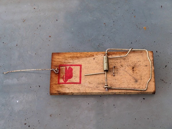 https://lemis.nyc3.digitaloceanspaces.com/grog/Photos/20110703/small/Rat-trap-2.jpeg