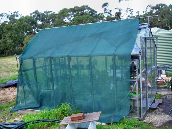 https://lemis.nyc3.digitaloceanspaces.com/grog/Photos/20110705/small/Greenhouse-1.jpeg