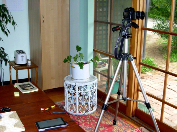 https://lemis.nyc3.digitaloceanspaces.com/grog/Photos/20110707/small/Camera-with-viewfinder.jpeg