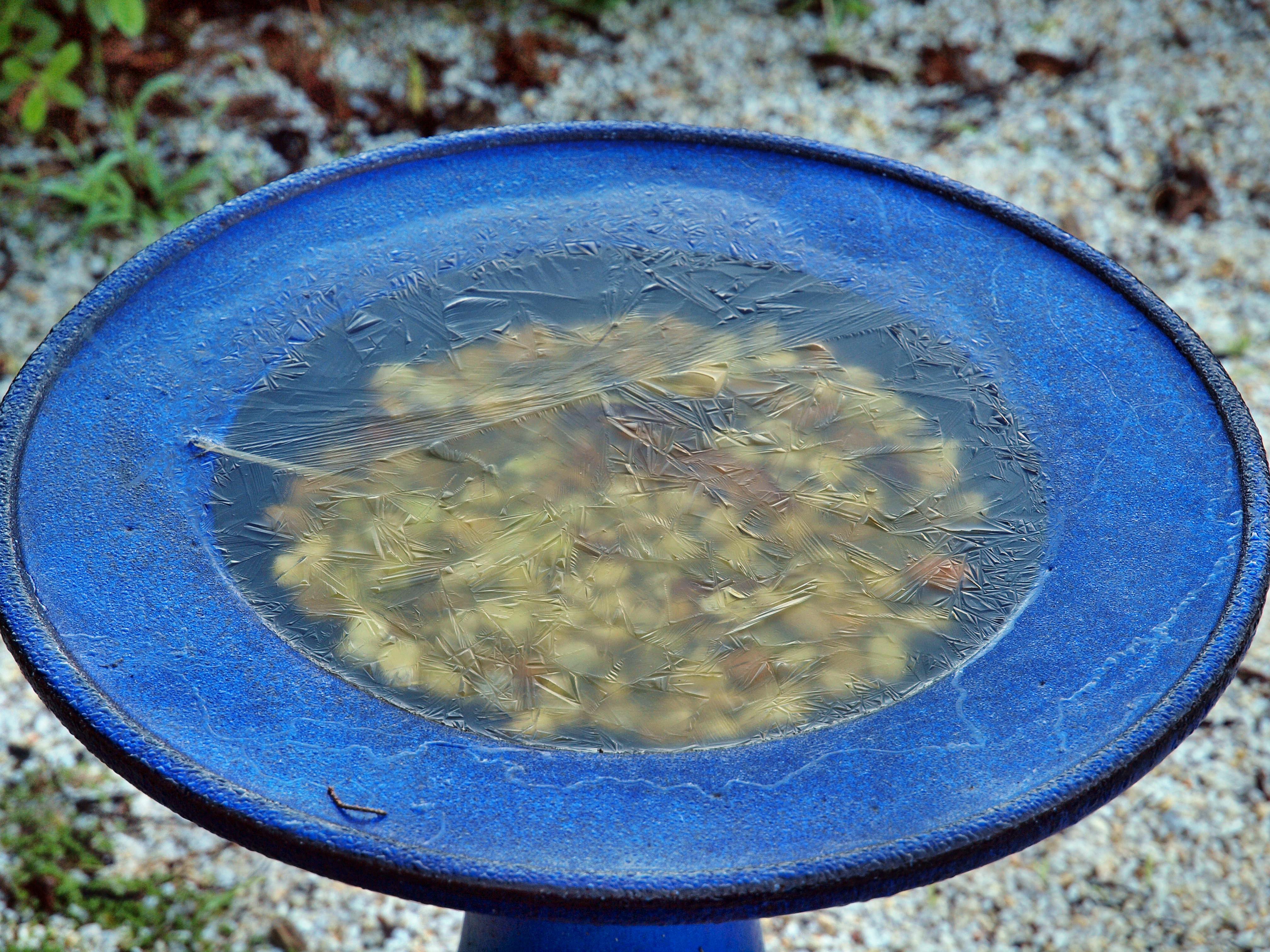 https://lemis.nyc3.digitaloceanspaces.com/grog/Photos/20110727/big/Bird-bath-1.jpeg