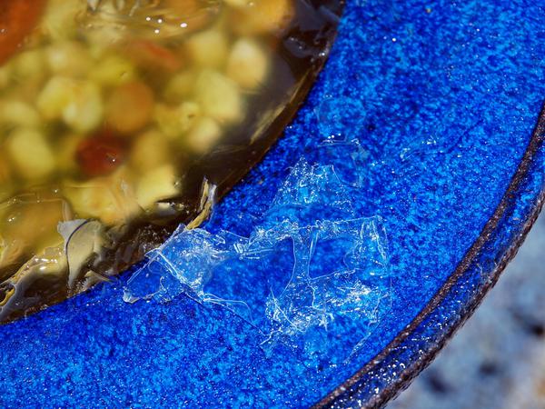 https://lemis.nyc3.digitaloceanspaces.com/grog/Photos/20110727/small/Bird-bath-2.jpeg