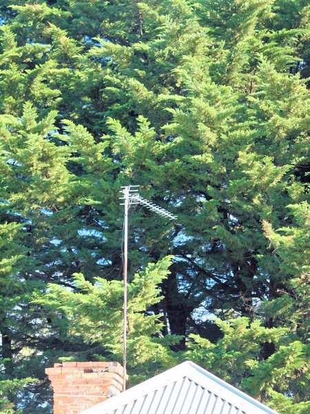 https://lemis.nyc3.digitaloceanspaces.com/grog/Photos/20110729/small/Antenna-1.jpeg