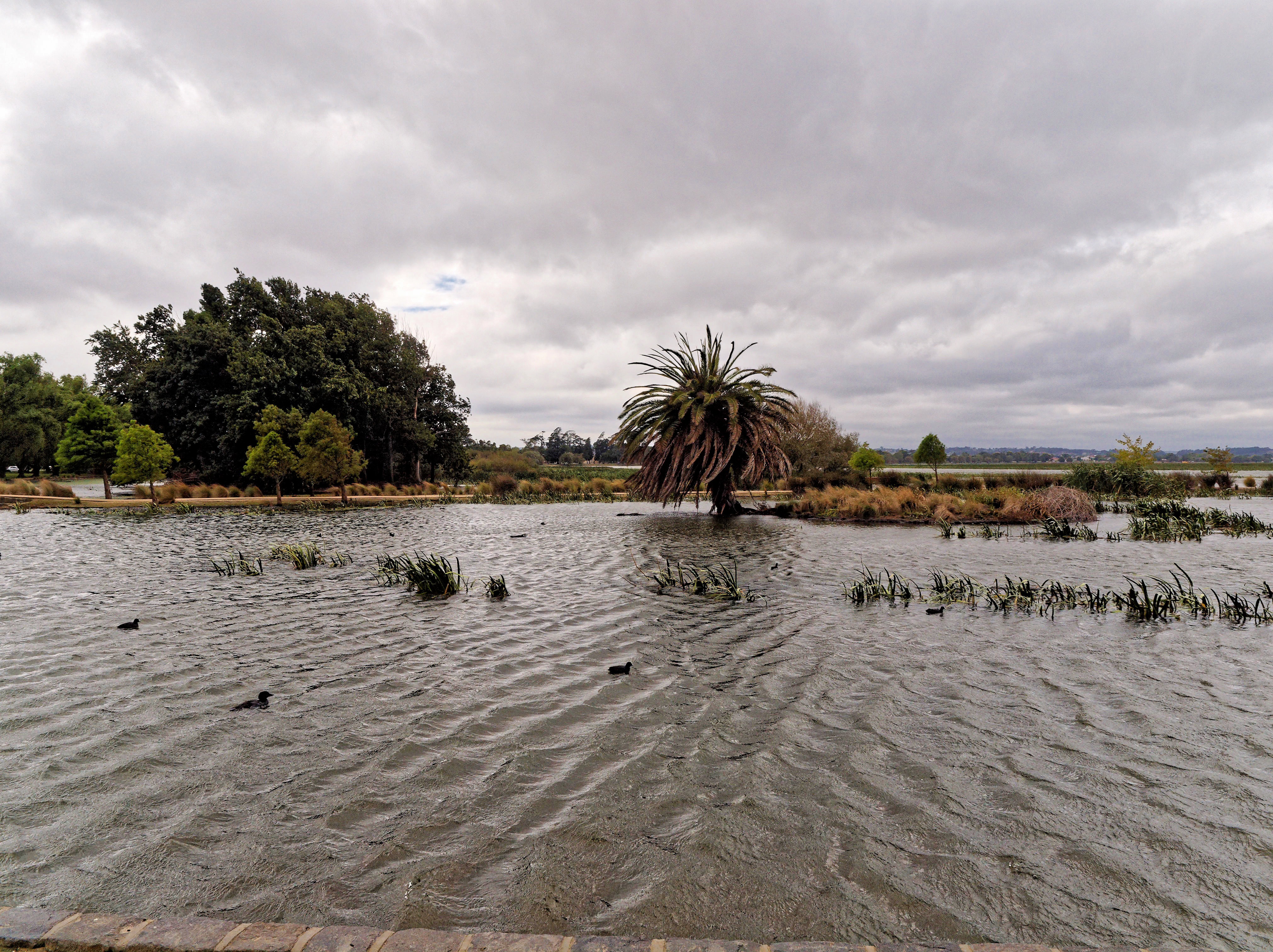 https://lemis.nyc3.digitaloceanspaces.com/grog/Photos/20120302/big/Lake-Wendouree-2.jpeg