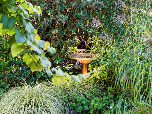 https://lemis.nyc3.digitaloceanspaces.com/grog/Photos/20150321/small/Bird-bath-2.jpeg