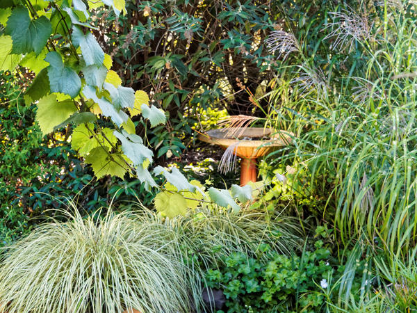https://lemis.nyc3.digitaloceanspaces.com/grog/Photos/20150321/small/Bird-bath-3.jpeg