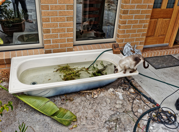 https://lemis.nyc3.digitaloceanspaces.com/grog/Photos/20151205/small/Piccola-bathtub-1.jpeg