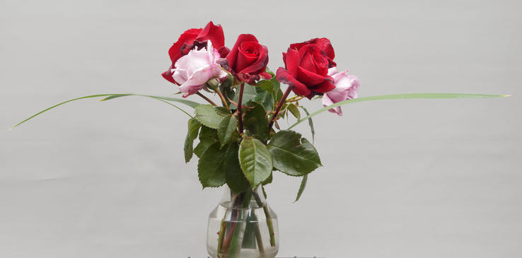 https://lemis.nyc3.digitaloceanspaces.com/grog/Photos/20191122/small/Bouquet-3.jpeg