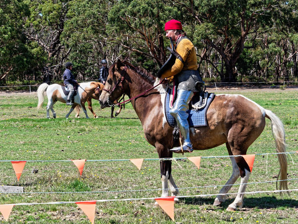 https://lemis.nyc3.digitaloceanspaces.com/grog/Photos/20200222/small/Jousting-training-day-130.jpeg