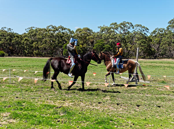 https://lemis.nyc3.digitaloceanspaces.com/grog/Photos/20200222/small/Jousting-training-day-198.jpeg