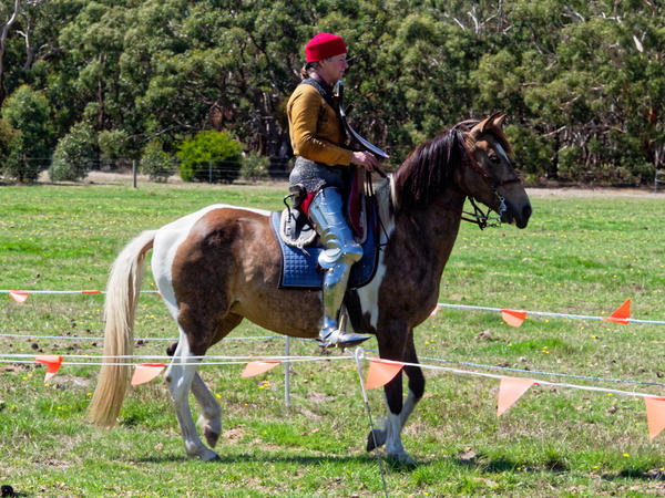 https://lemis.nyc3.digitaloceanspaces.com/grog/Photos/20200222/small/Jousting-training-day-279.jpeg