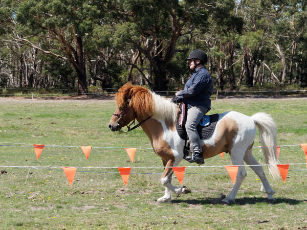 https://lemis.nyc3.digitaloceanspaces.com/grog/Photos/20200222/small/Jousting-training-day-35.jpeg