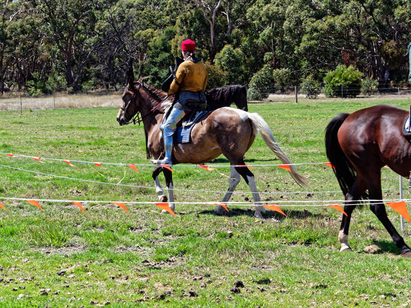 https://lemis.nyc3.digitaloceanspaces.com/grog/Photos/20200222/small/Jousting-training-day-518.jpeg