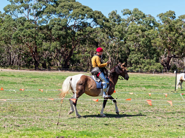 https://lemis.nyc3.digitaloceanspaces.com/grog/Photos/20200222/small/Jousting-training-day-550.jpeg