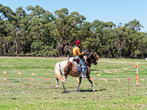 https://lemis.nyc3.digitaloceanspaces.com/grog/Photos/20200222/small/Jousting-training-day-571.jpeg