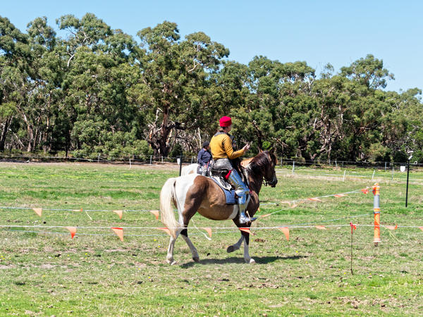 https://lemis.nyc3.digitaloceanspaces.com/grog/Photos/20200222/small/Jousting-training-day-573.jpeg