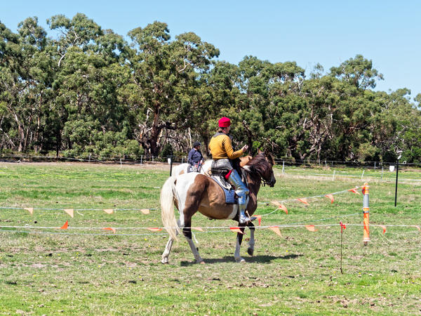 https://lemis.nyc3.digitaloceanspaces.com/grog/Photos/20200222/small/Jousting-training-day-574.jpeg