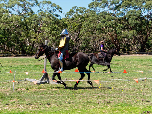 https://lemis.nyc3.digitaloceanspaces.com/grog/Photos/20200222/small/Jousting-training-day-645.jpeg