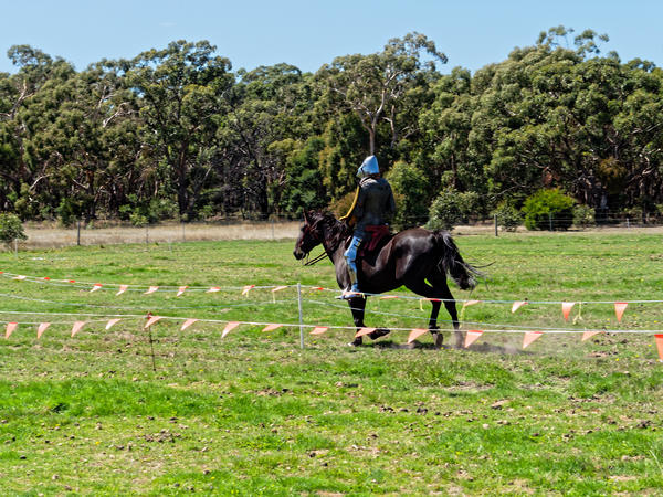 https://lemis.nyc3.digitaloceanspaces.com/grog/Photos/20200222/small/Jousting-training-day-680.jpeg