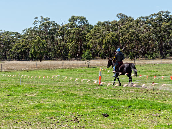 https://lemis.nyc3.digitaloceanspaces.com/grog/Photos/20200222/small/Jousting-training-day-700.jpeg