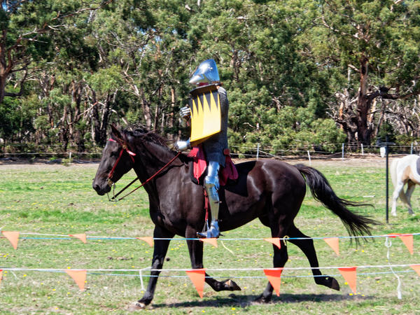 https://lemis.nyc3.digitaloceanspaces.com/grog/Photos/20200222/small/Jousting-training-day-809.jpeg