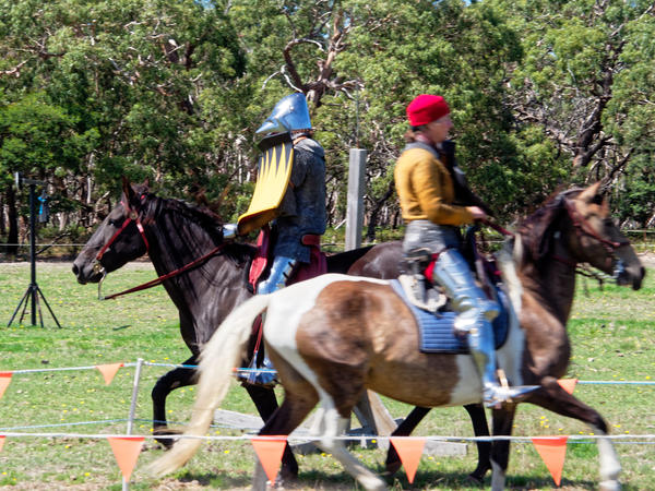 https://lemis.nyc3.digitaloceanspaces.com/grog/Photos/20200222/small/Jousting-training-day-843.jpeg