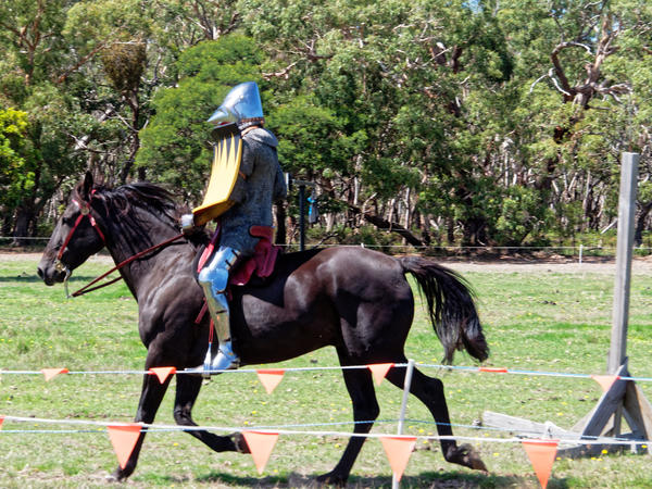 https://lemis.nyc3.digitaloceanspaces.com/grog/Photos/20200222/small/Jousting-training-day-852.jpeg