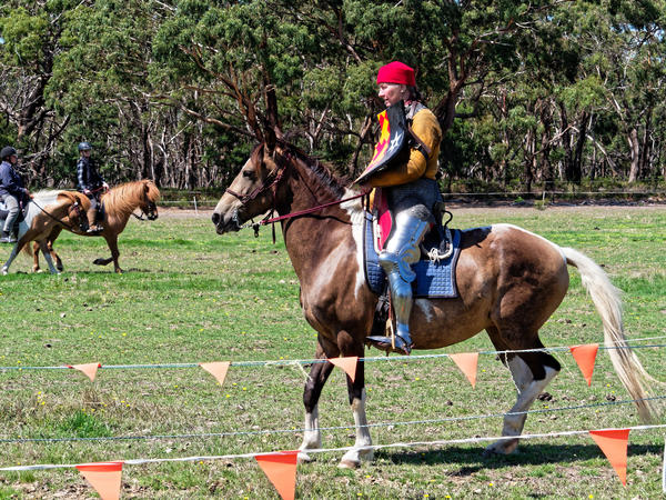 https://lemis.nyc3.digitaloceanspaces.com/grog/Photos/20200222/small/Jousting-training-day-97.jpeg