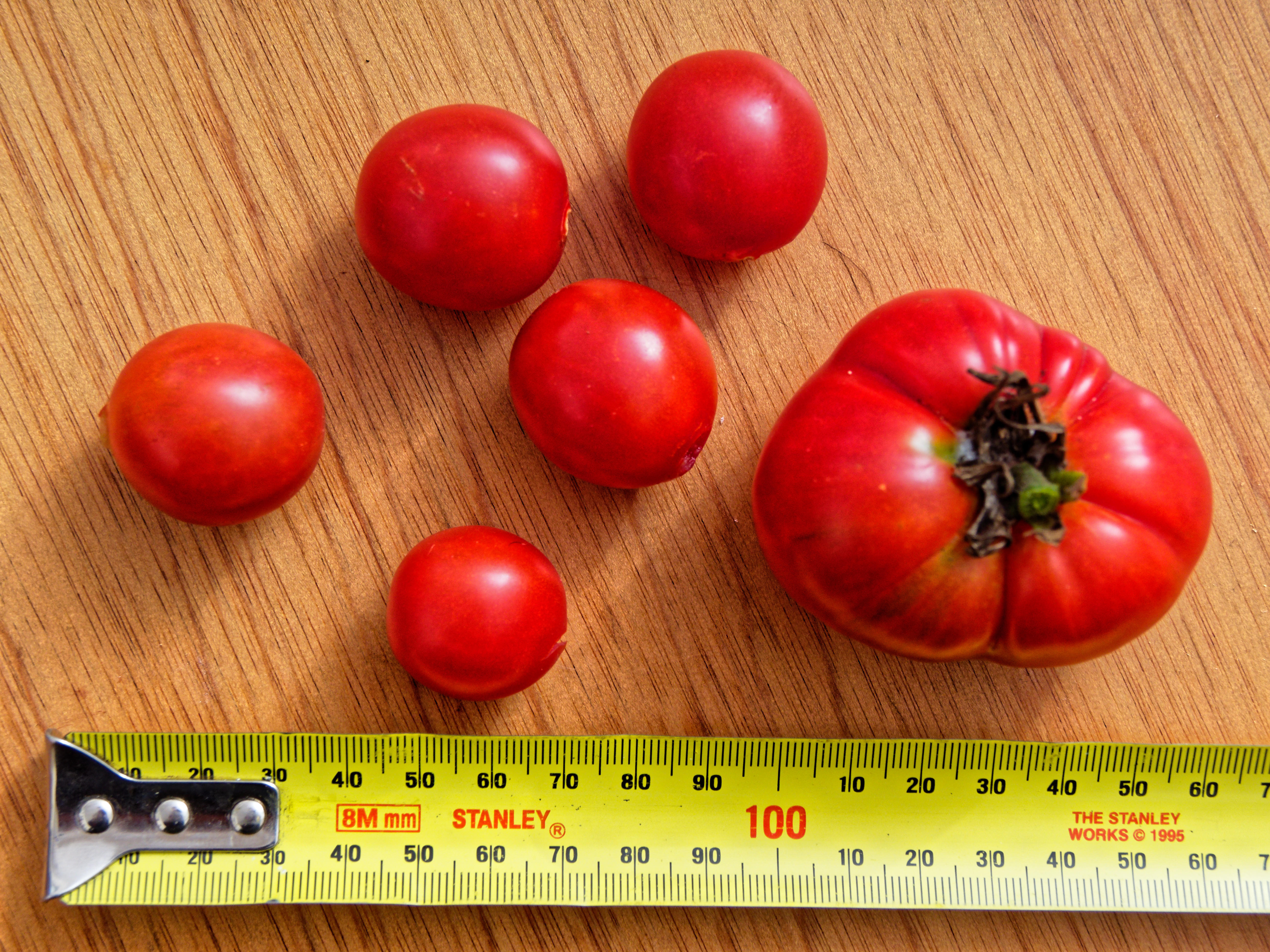 https://lemis.nyc3.digitaloceanspaces.com/grog/Photos/20210215/big/Tomatoes-2.jpeg