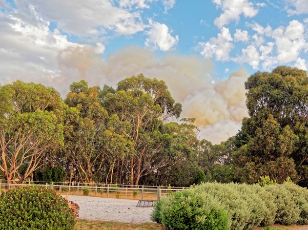 https://lemis.nyc3.digitaloceanspaces.com/grog/Photos/20240228/small/Dereel-bushfire-2.jpeg