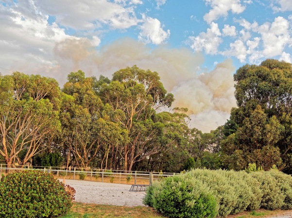 https://lemis.nyc3.digitaloceanspaces.com/grog/Photos/20240228/small/Dereel-bushfire-3.jpeg