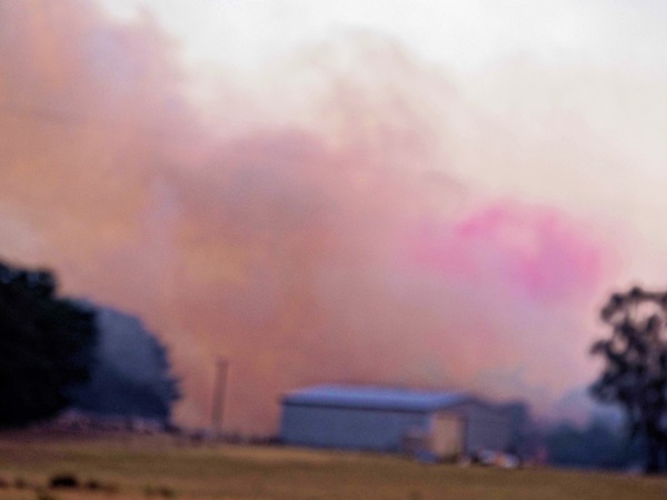 https://lemis.nyc3.digitaloceanspaces.com/grog/Photos/20240228/small/Dereel-bushfire-34.jpeg