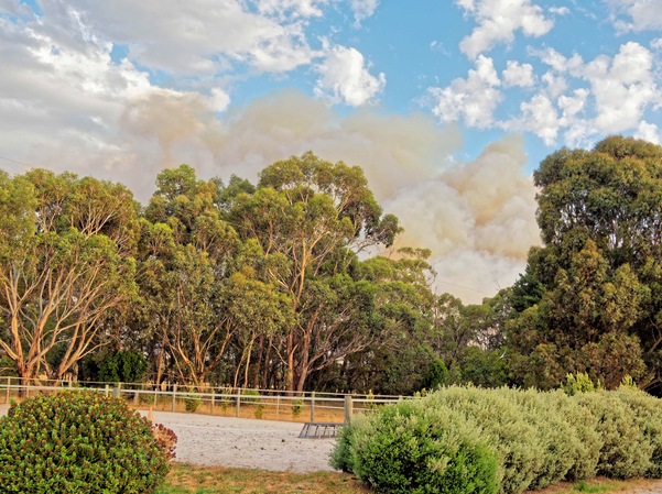 https://lemis.nyc3.digitaloceanspaces.com/grog/Photos/20240228/small/Dereel-bushfire-4.jpeg