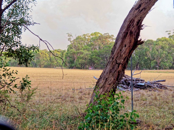 https://lemis.nyc3.digitaloceanspaces.com/grog/Photos/20240228/small/Dereel-bushfire-6.jpeg