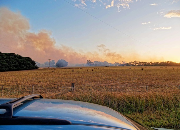 https://lemis.nyc3.digitaloceanspaces.com/grog/Photos/20240228/small/Dereel-bushfire-9.jpeg