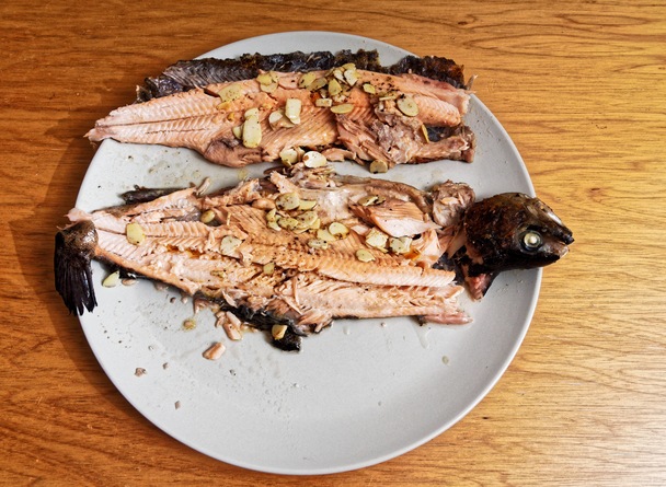 https://lemis.nyc3.digitaloceanspaces.com/grog/Photos/20240803/small/Trout-1.jpeg