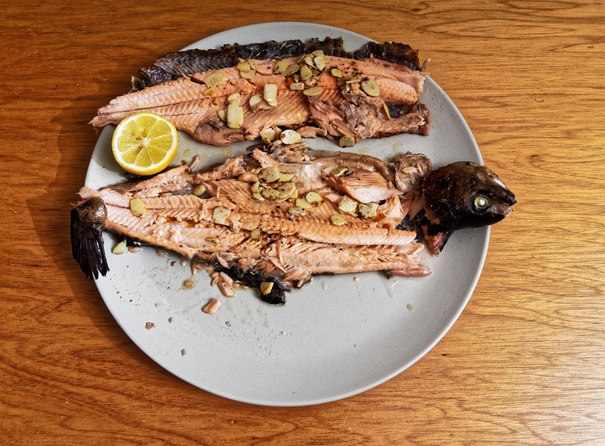 https://lemis.nyc3.digitaloceanspaces.com/grog/Photos/20240803/small/Trout-2.jpeg
